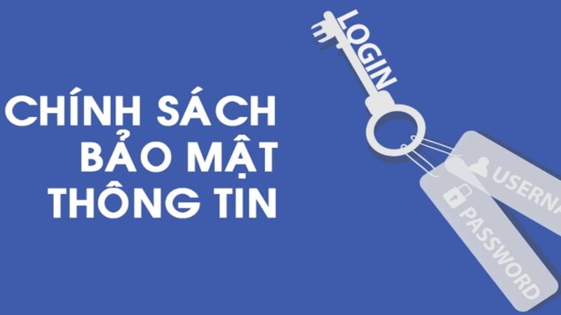 VZ99 sẽ thu thập các ý kiến, đóng góp của khách hàng